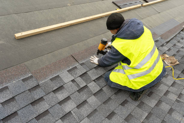 Best Flat Roof Repair Services  in Cartervle, IL
