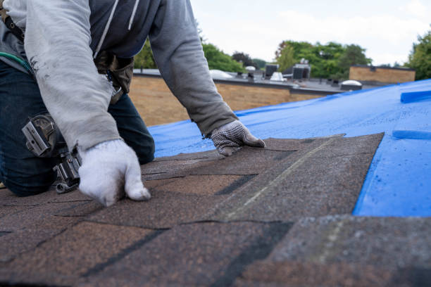 Best Gutter Installation and Roofing  in Cartervle, IL
